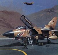 Tornado Gr.1 - English Attack Aircraft