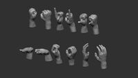 Palm Hands (new)