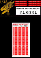 Remove Before Flight - US - Image 1